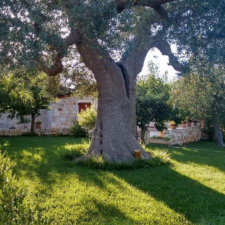 Bed and Breakfast Il Giardino Degli Ulivi Castellana Grotte Exterior foto